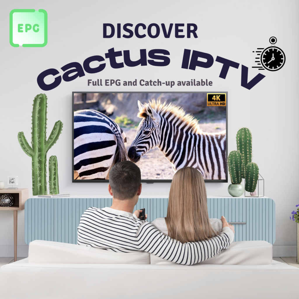 Catch-Up: Never miss your favorite shows again.